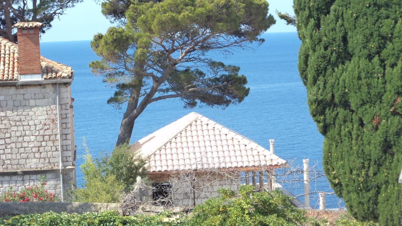 Villa Elly Dubrovnik Eksteriør billede